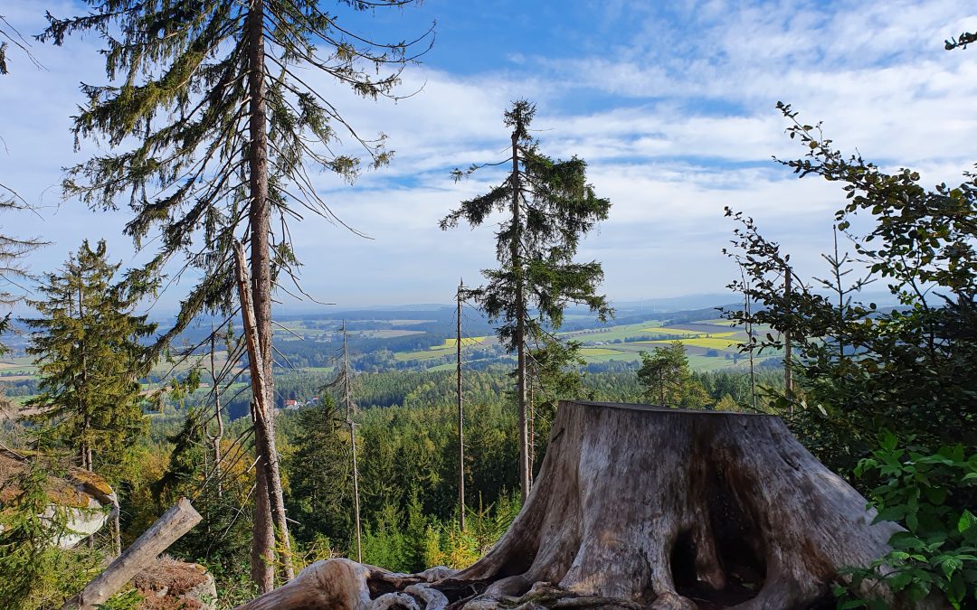 Schaffung eines Bestattungswaldes in Wunsiedel